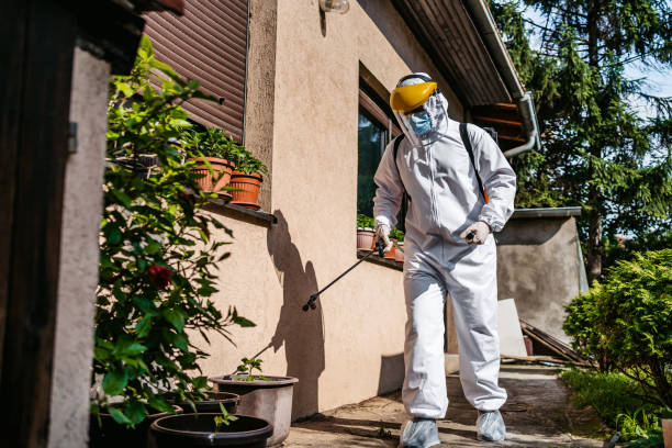 Best Cockroach Control Services  in Flat Rock, MI