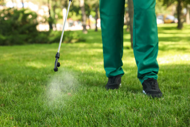 Best Pest Inspection Near Me  in Flat Rock, MI