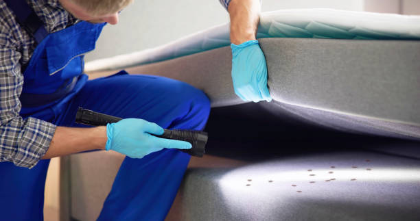 Best Local Pest Control Services  in Flat Rock, MI