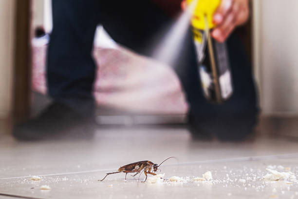 Best Pest Control Treatment  in Flat Rock, MI