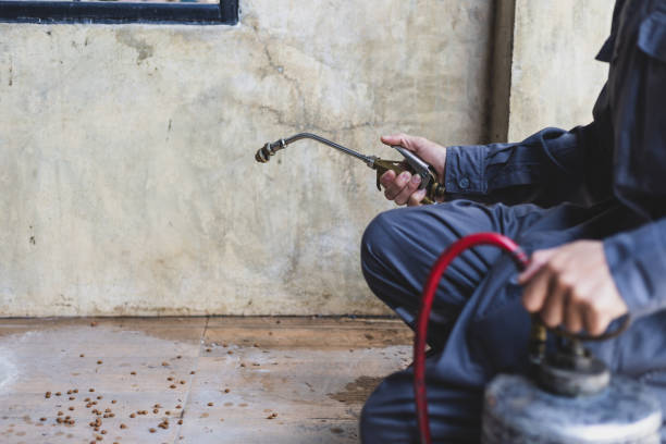 Best Affordable Pest Control Services  in Flat Rock, MI