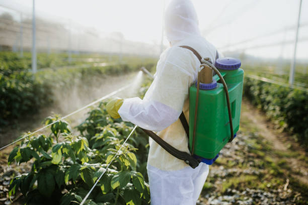 Best Best Pest Control Companies  in Flat Rock, MI